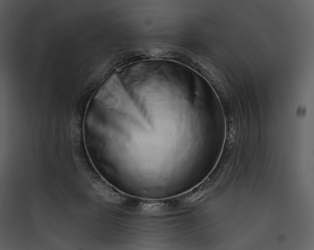 X0000089960461200707131541