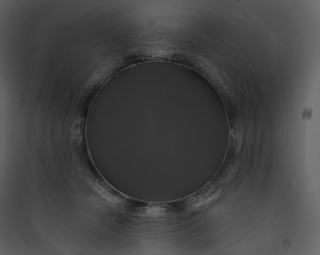 X0000089960462200707131541