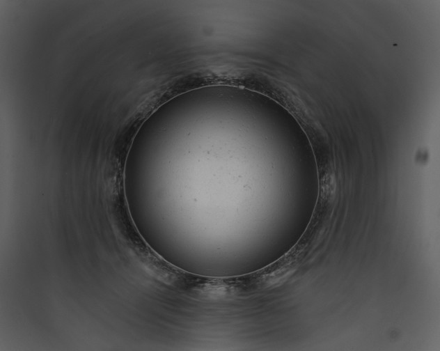 X0000089960464200707131541