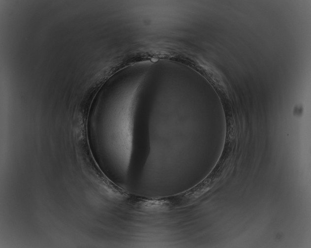 X0000089960465200707131541