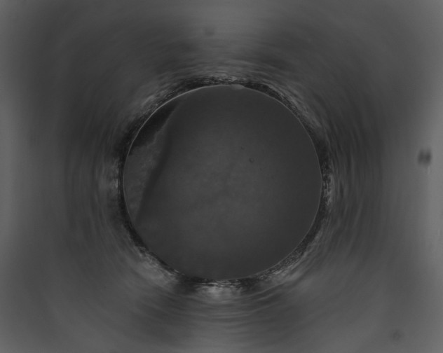 X0000089960466200707131541