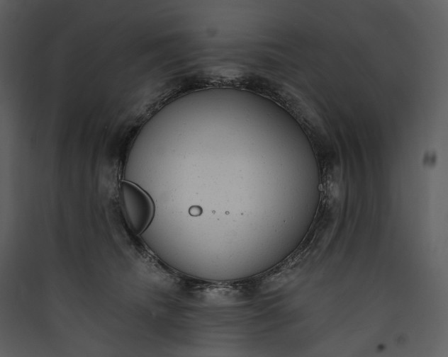 X0000089960468200707131541