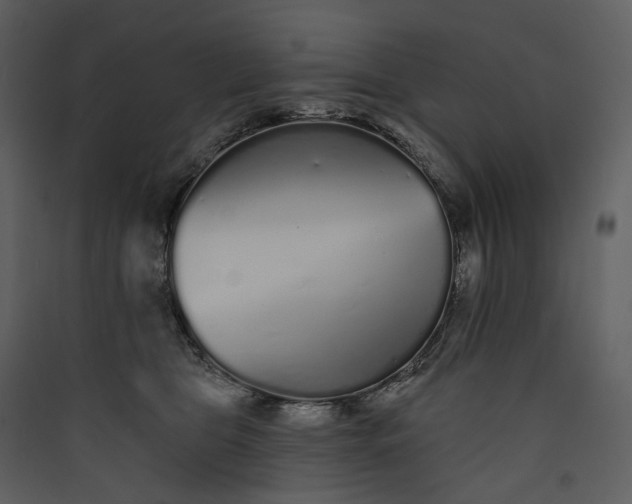 X0000089960469200707131541