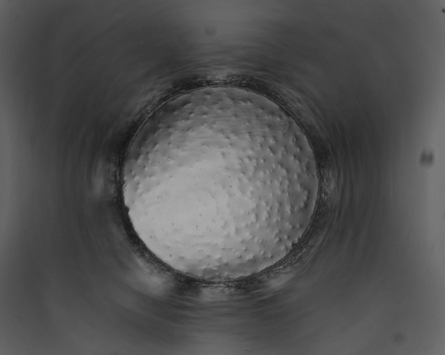X0000089960470200707131541