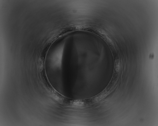 X0000089960471200707131541