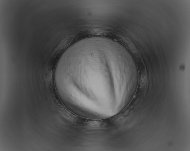 X0000089960473200707131541
