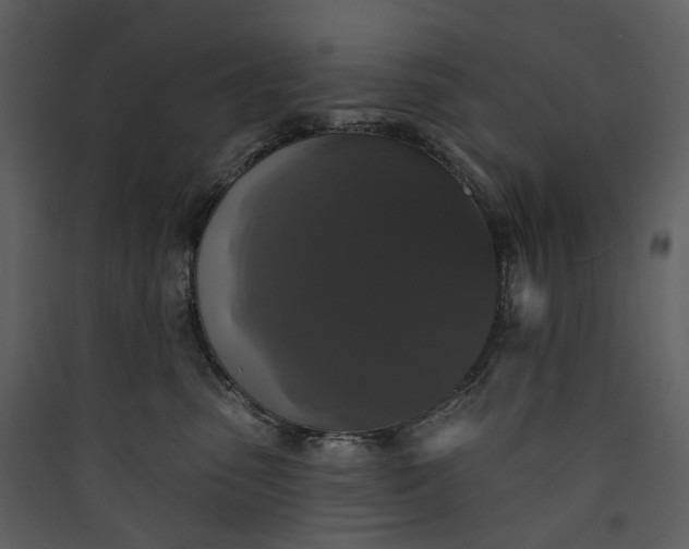 X0000089960475200707131541