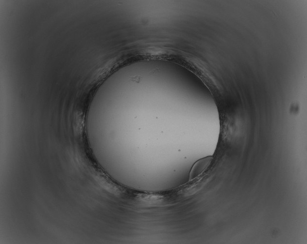 X0000089960476200707131541