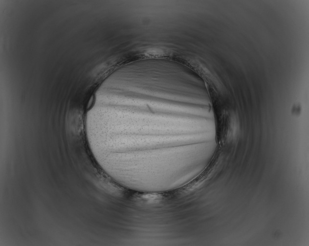 X0000089960478200707131541