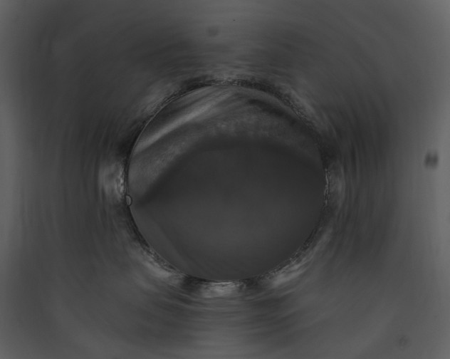 X0000089960479200707131541