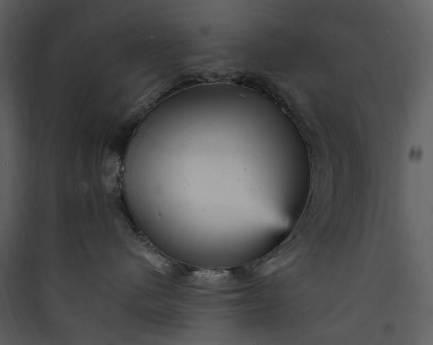 X0000089960480200707131541