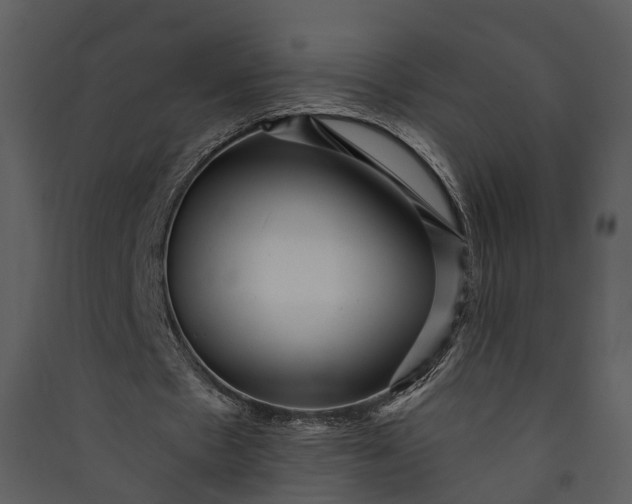 X0000089960481200707131540