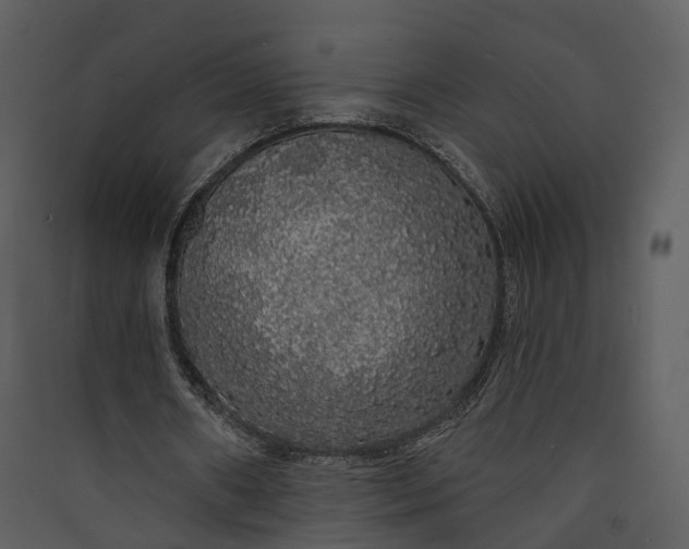 X0000089960482200707131540
