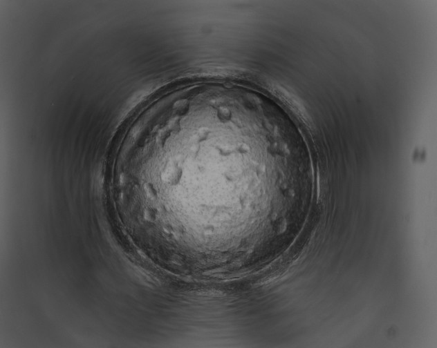 X0000089960483200707131540