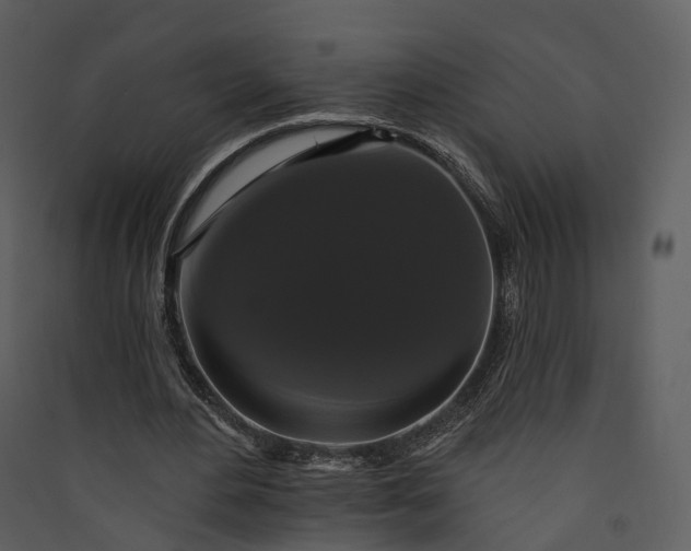 X0000089960484200707131540