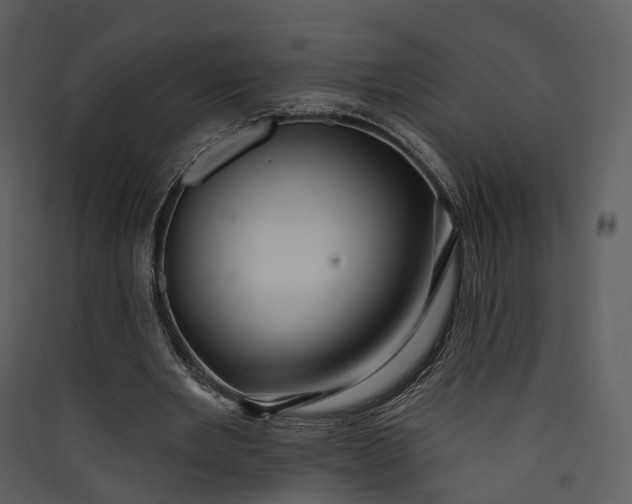 X0000089960485200707131540