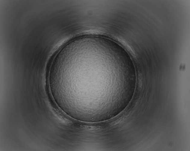 X0000089960486200707131540