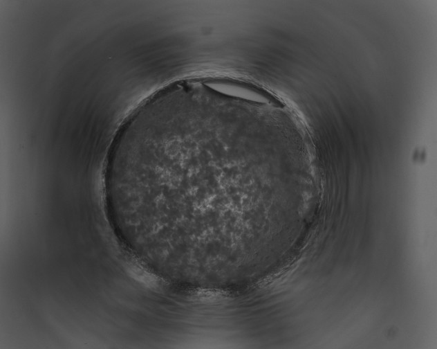 X0000089960487200707131540