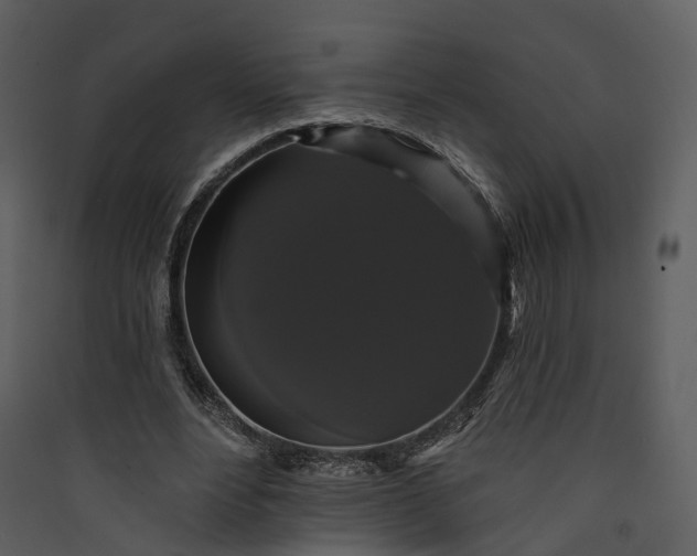 X0000089960488200707131540