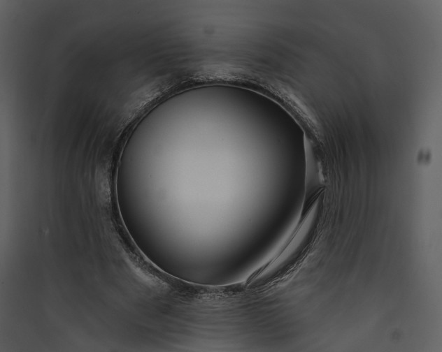 X0000089960489200707131540