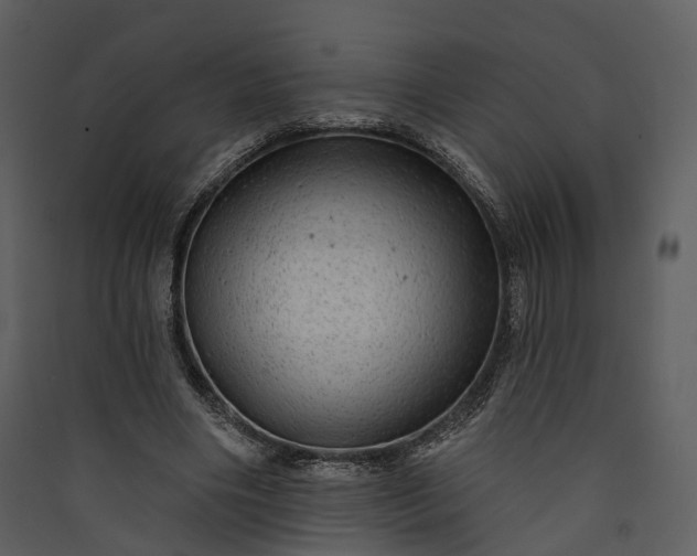 X0000089960490200707131540