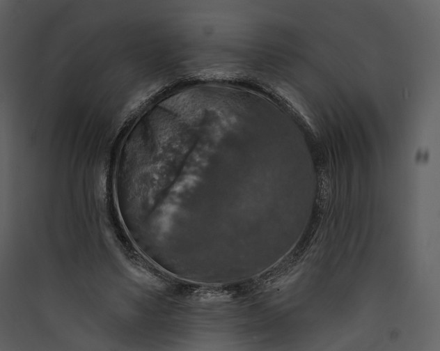 X0000089960491200707131540