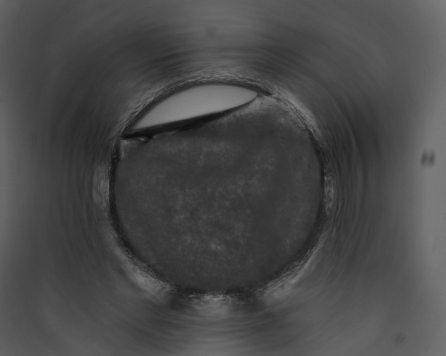 X0000089960493200707131540