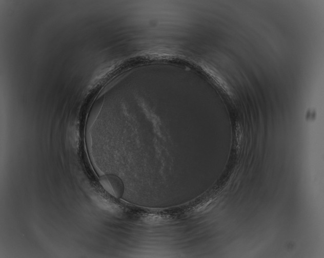 X0000089960494200707131540