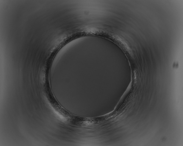 X0000089960496200707131540