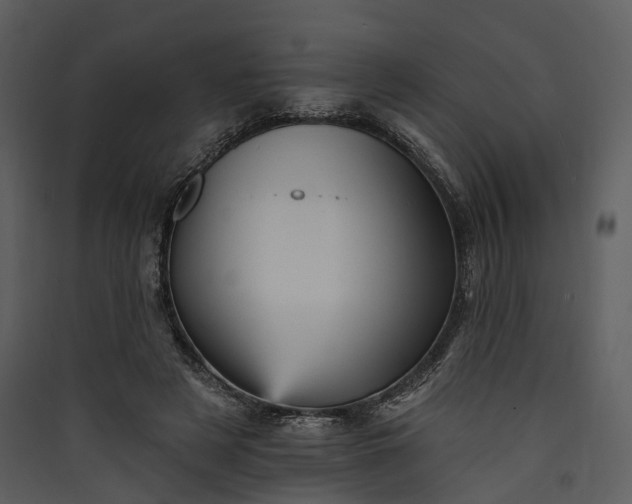 X0000089960497200707131540
