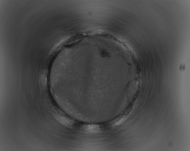 X0000089960501200707131540
