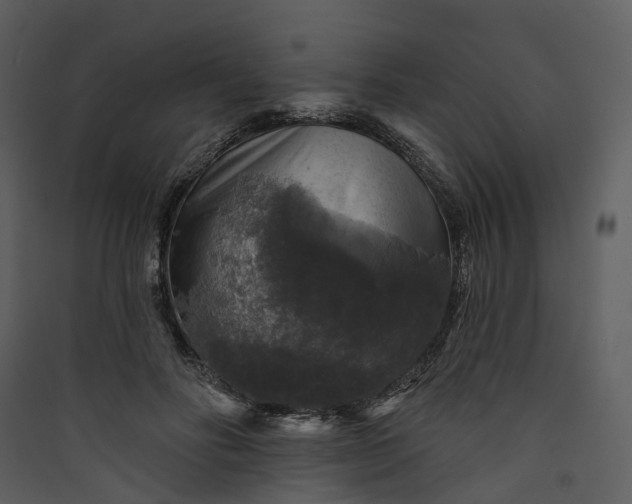 X0000089960502200707131540