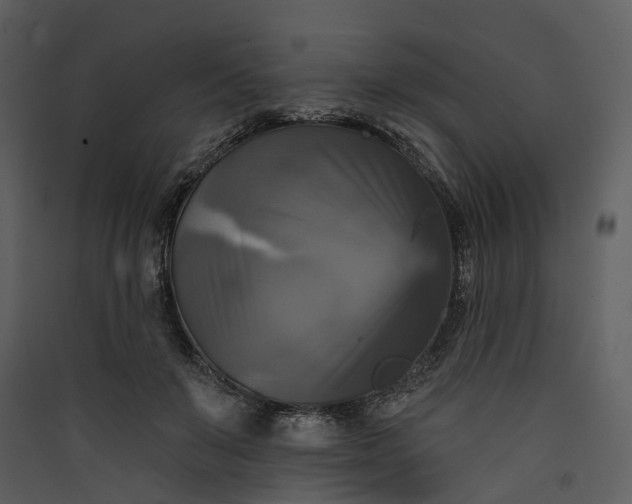 X0000089960503200707131540