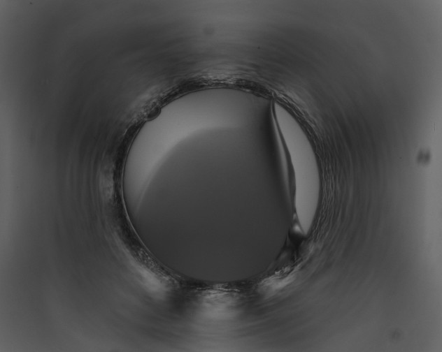 X0000089960504200707131540