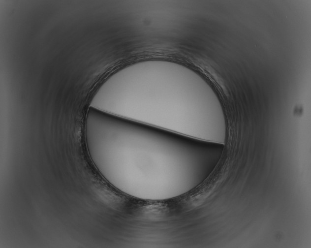X0000089960505200707131540