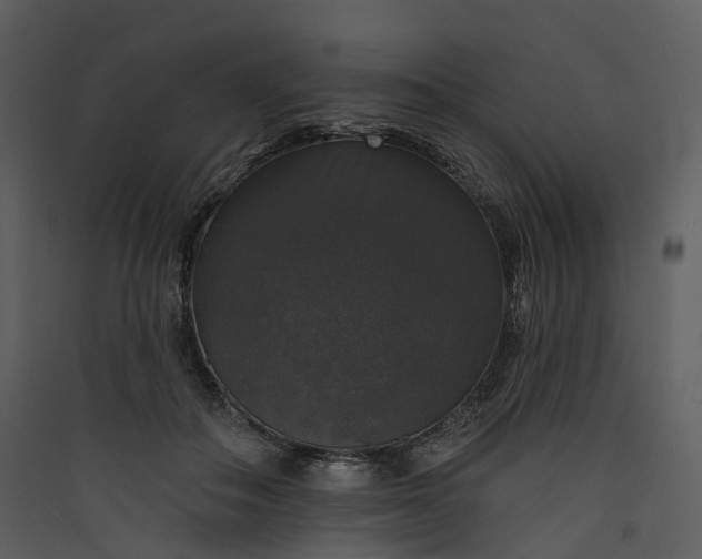 X0000089960506200707131540