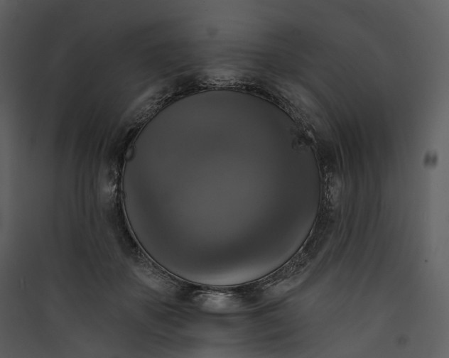 X0000089960507200707131540