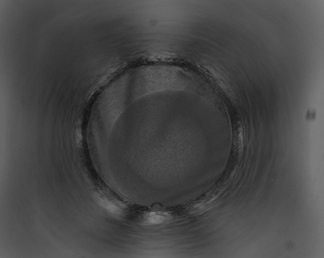 X0000089960508200707131540