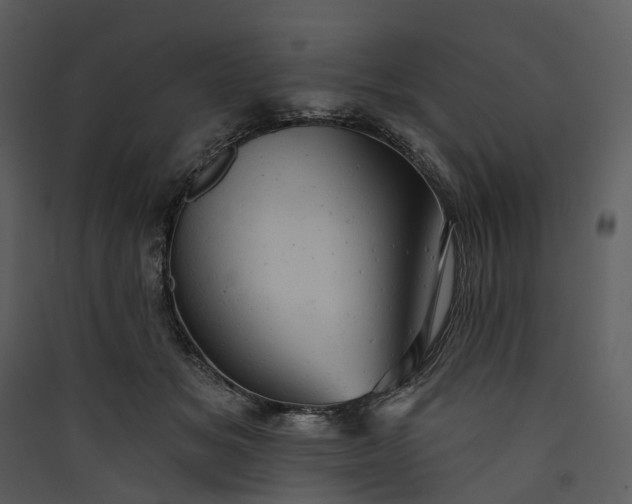 X0000089960509200707131540