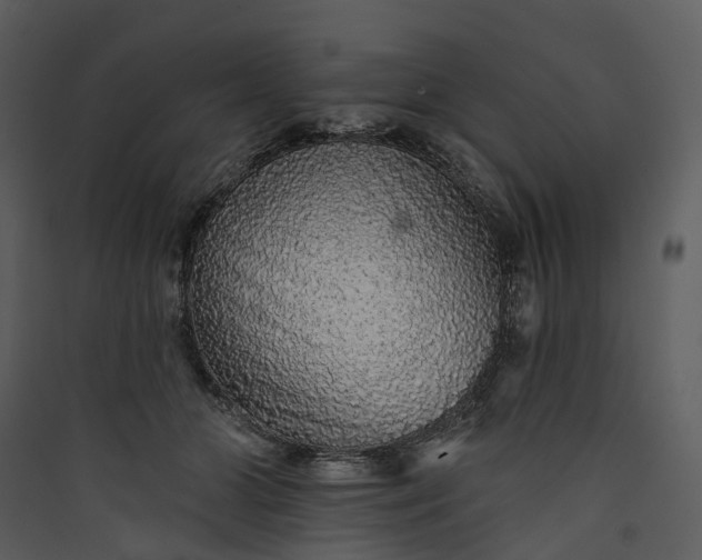 X0000089960510200707131540