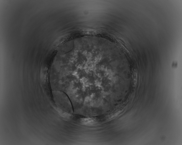 X0000089960511200707131540