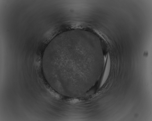 X0000089960513200707131540