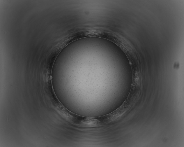 X0000089960514200707131540