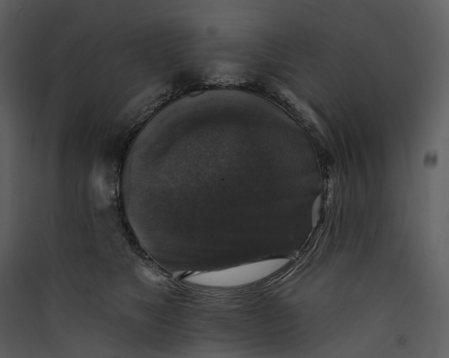 X0000089960517200707131540