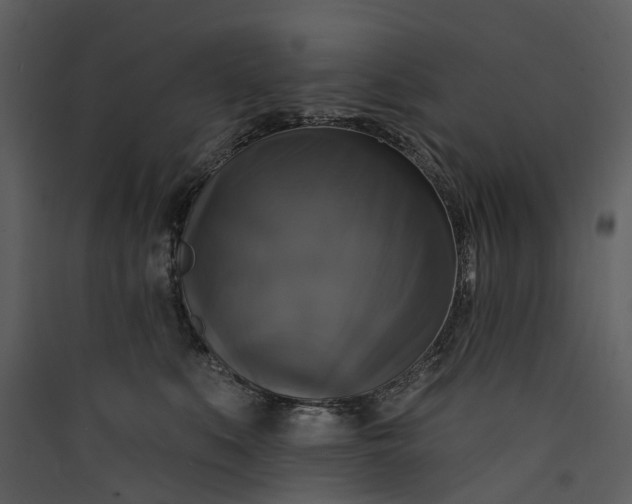 X0000089960519200707131540