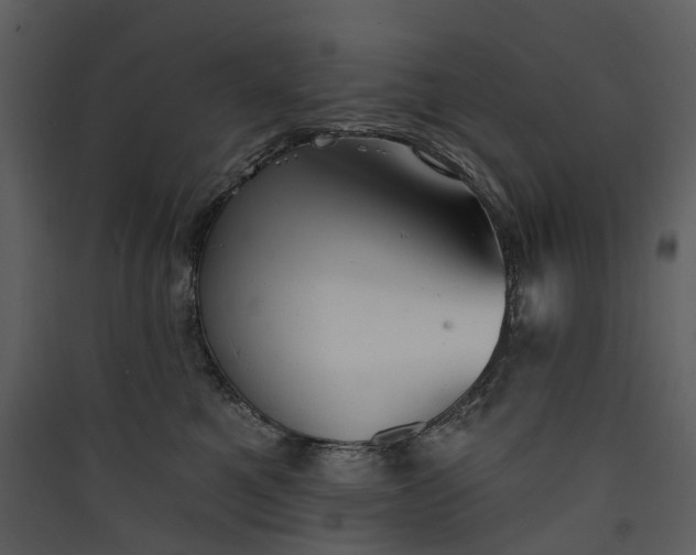 X0000089960521200707131540