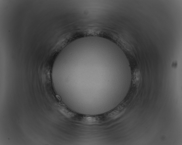 X0000089960522200707131540