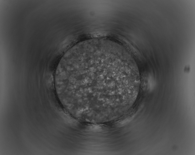 X0000089960523200707131540