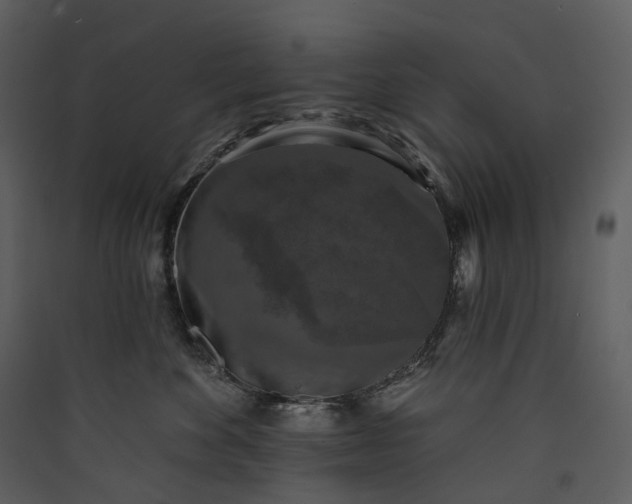 X0000089960524200707131540