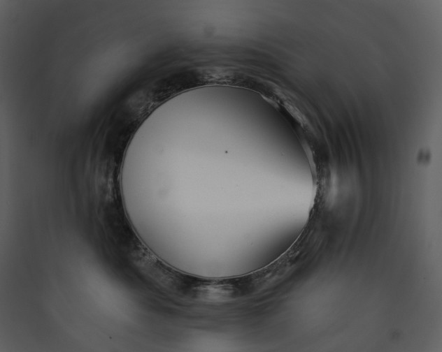 X0000089960525200707131540